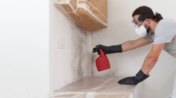 Professional Mold Removal technician working in Allensville, PA