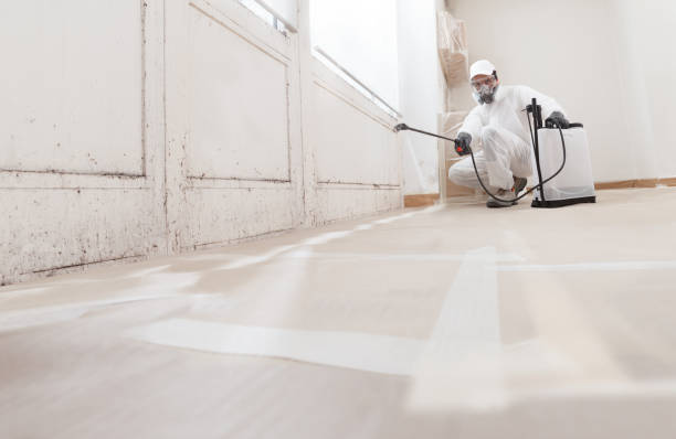 24/7 Emergency Mold Removal experts in Allensville, PA