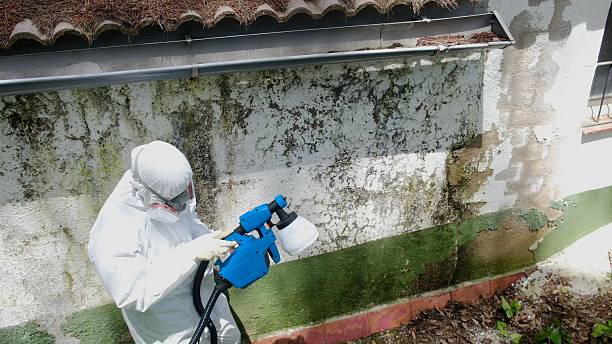 Top rated local Mold Removal specialists in Allensville, PA